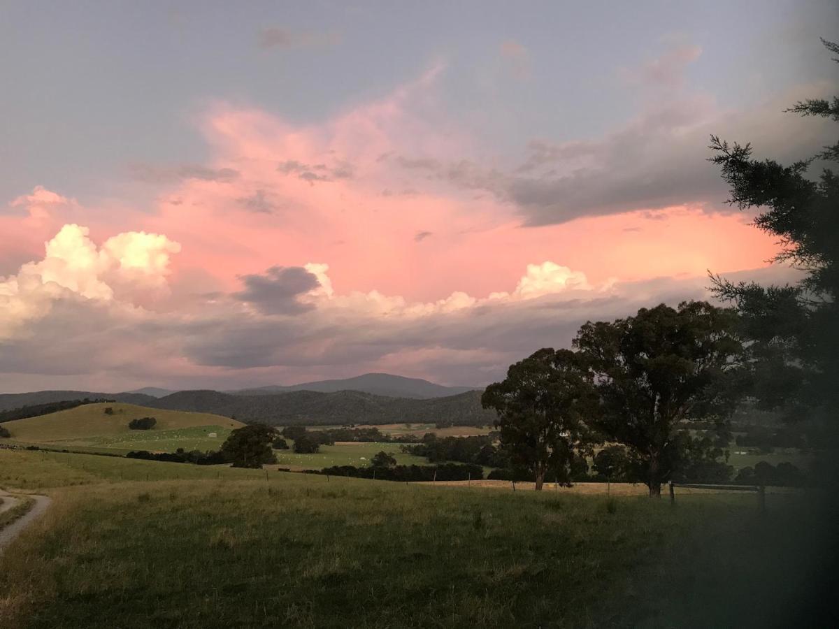 The Studio - Yarra Valley Yarra Glen Kültér fotó